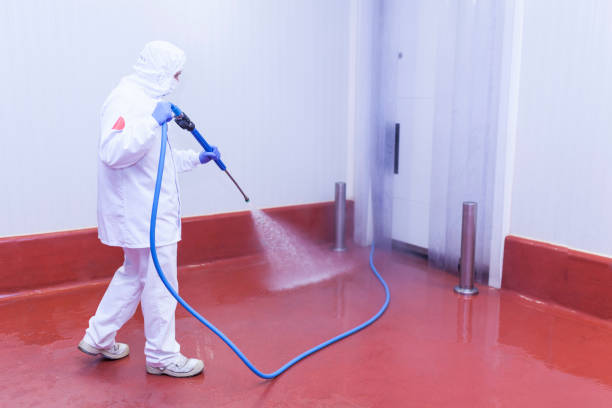 Best Restaurant Pressure Washing  in Olivehurst, CA